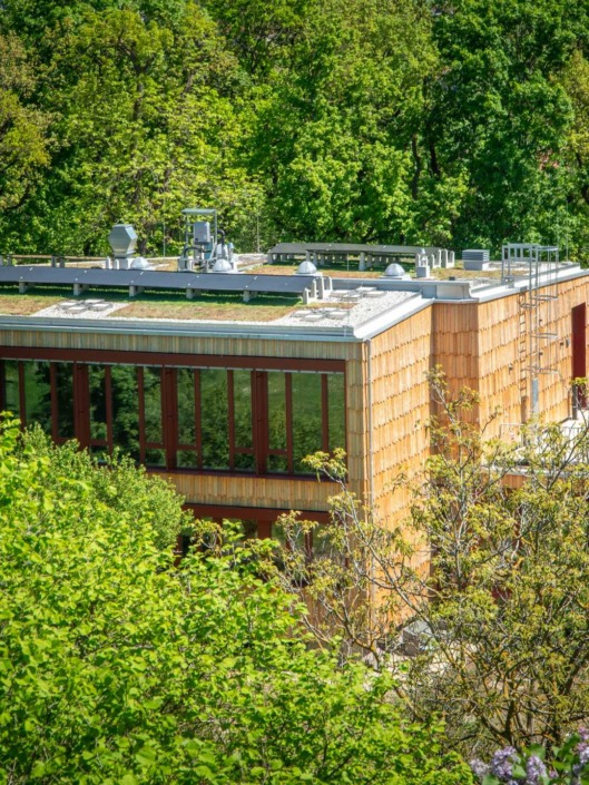 HAUP_Campus_©Alexander_Stadler_12 Detailansicht des neu gebauten Gärtnerhaus der Hochschule für Agrar- und Umweltpädagogik im Sommer umgeben von Bäumen, Sträuchern und Wiese.